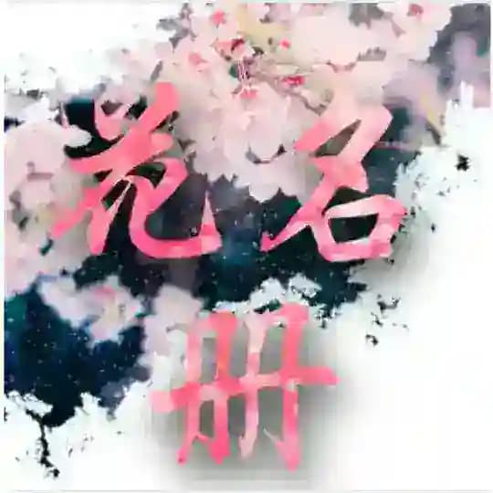 老师花名册