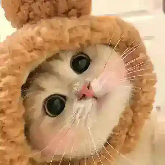 lucky的圈