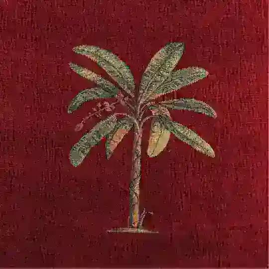 إسمي نور🔅