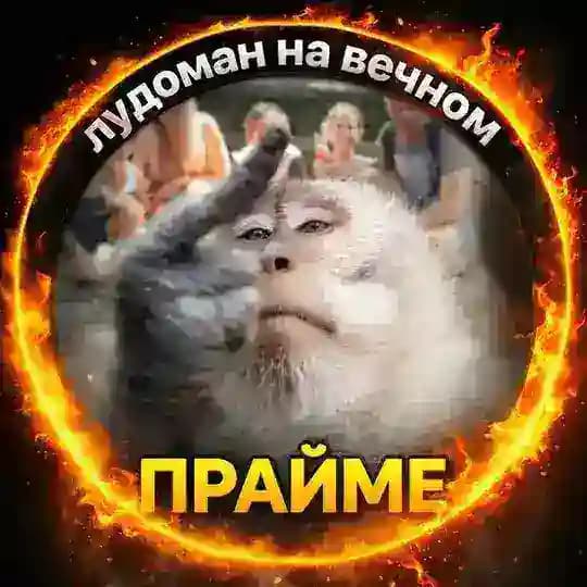 лудоман на вечном прайме