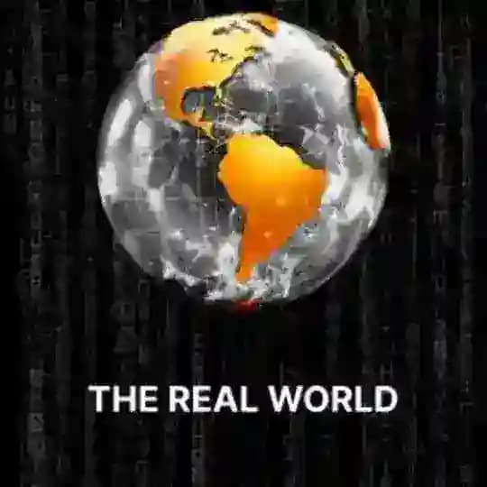 The Real World Accounts Profile