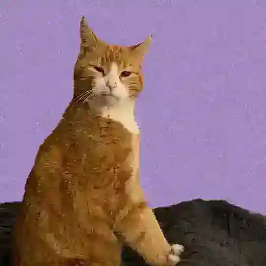 Люмьера Обыкновенная