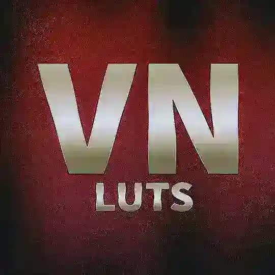 VN LUTS