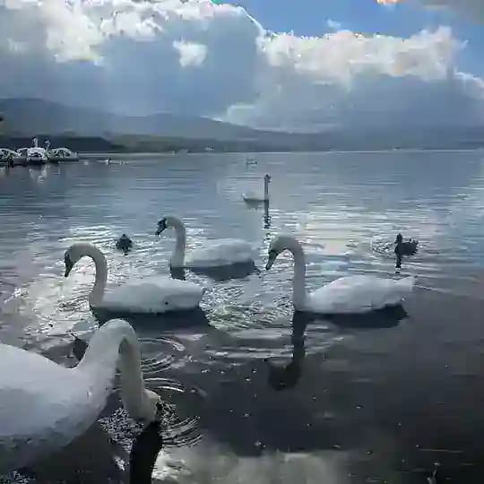 【旅行素材】景点素材【人物包装素材】