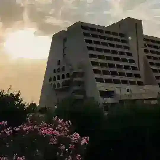 نوادر
