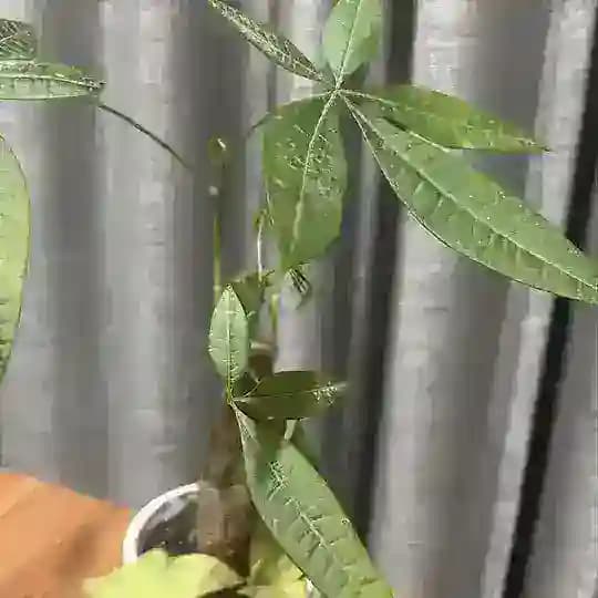 供需卡商吃瓜曝光频道