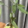 供需卡商吃瓜曝光频道