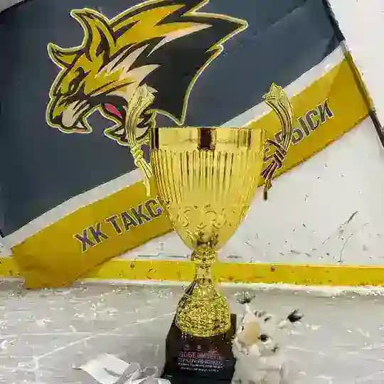 ХК Рыси Таксимо |Республика Бурятияl
