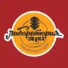 Лаборатория звука-Сочи_канал