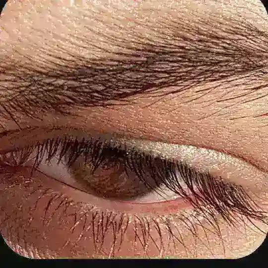 أحَـمِد