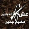 عش دبابير مخيم جنين ✌️