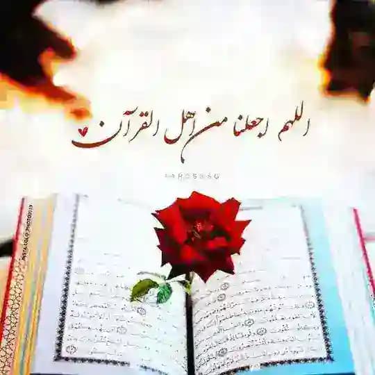 معلومات وخواطر