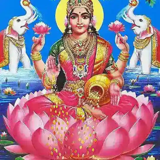 Maahir In Stocks Profile