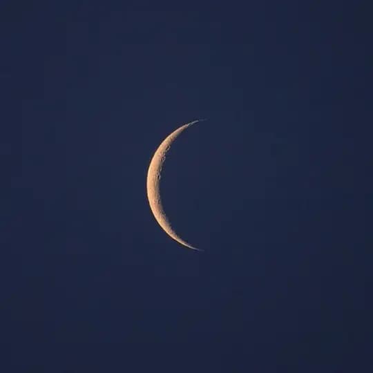 ماهنیل✨️
