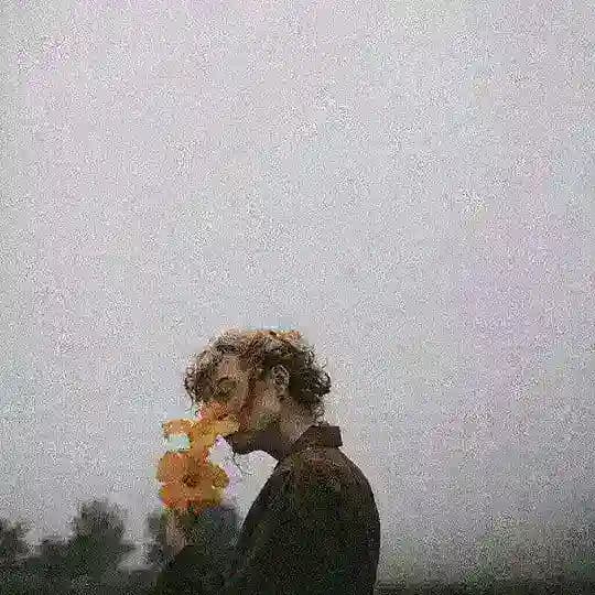 آوای یک رویا Profile