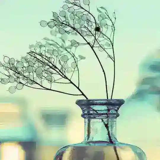 مـمـلڪٰྀہٰٰٖھہ. فــــخامهة_ضـــالعي_ᯓ²⁰²⁴