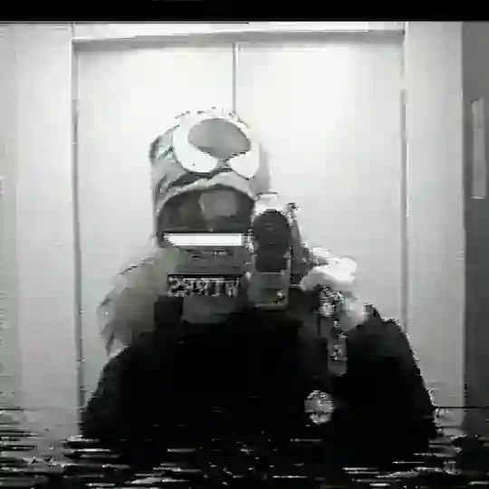 mad arieri