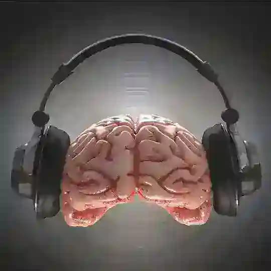 maede_music🎧🧠💜 Profile