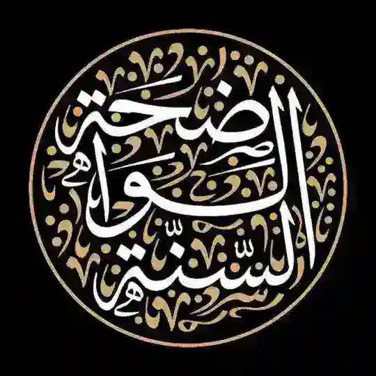 معهد السنة الواضحة (القناة العامة)