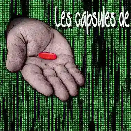 ⚖️ - Maître X - OFFICIEL - ⚖️
