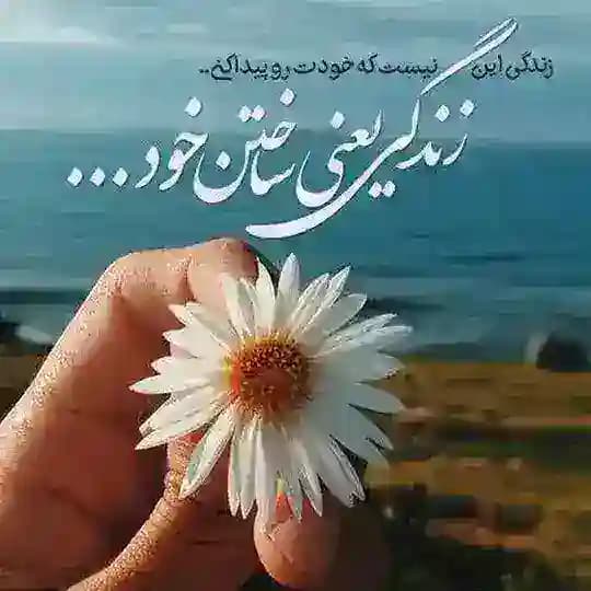 ❖ مجله •🍀• زندگی ❖