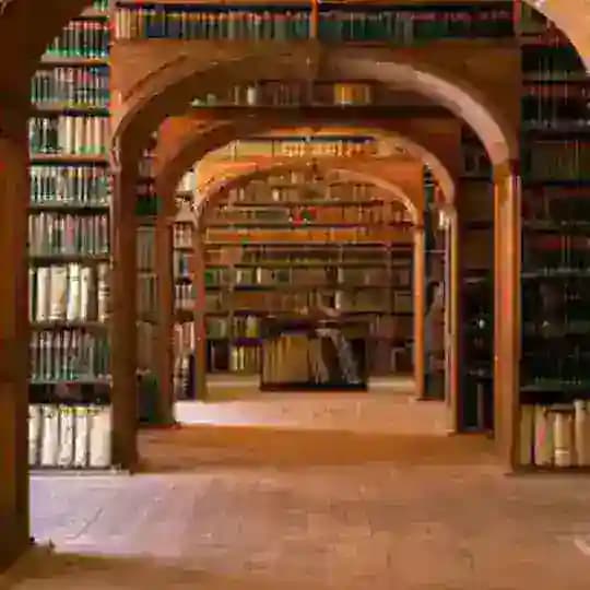 المكتبة العلمية معهد الفردوس الاعلى