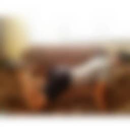 Koleksi Video XXX Malaysia 💦🍑👅 Profile