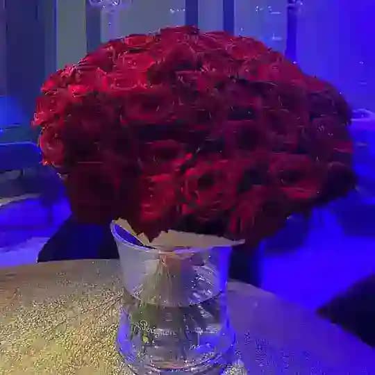 Малика | ДНЕВНИК