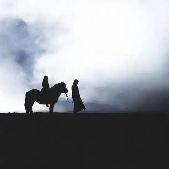 malikova_hh🕊 Profile