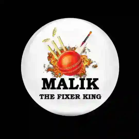 MALIK CRICKET PREDICTION