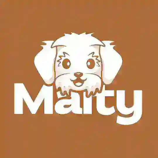 Maltipoo toy poodles