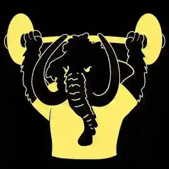 mAmont.sport