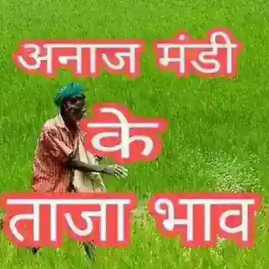 मंडी भाव (Mandi Bhav)