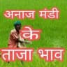 मंडी भाव (Mandi Bhav)