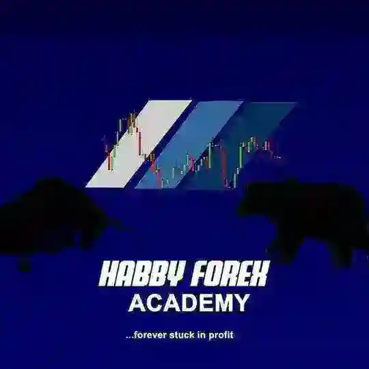 HABBY fOREX ACAdEMy Profile