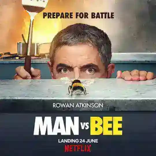 Man Vs Bee mmsub