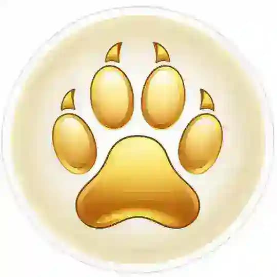 MAPOGO Updates