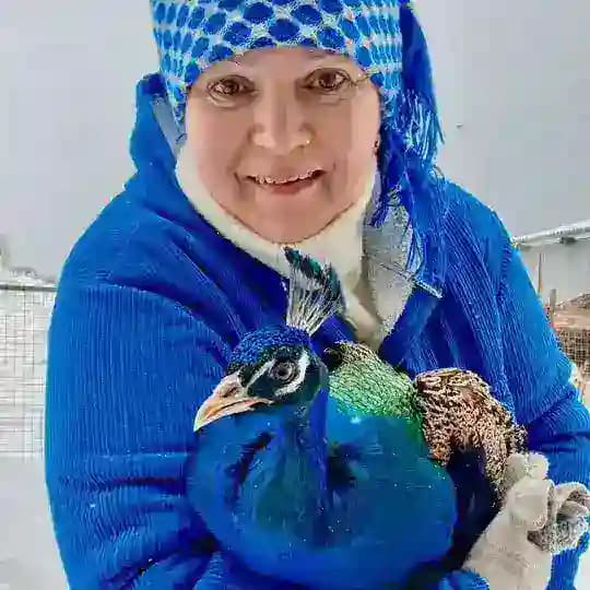 🙋‍♀Семейная ферма🦃