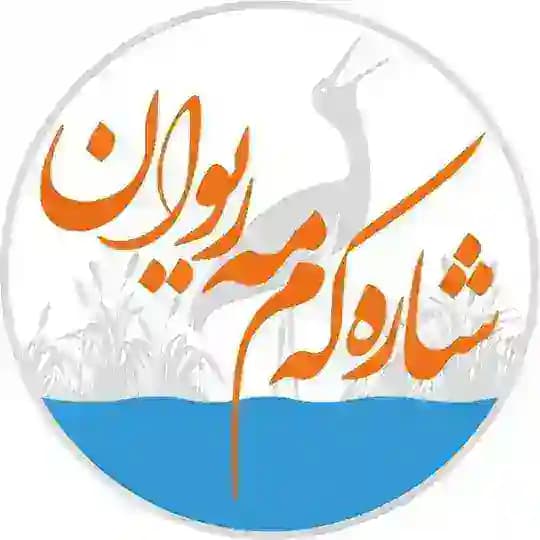 شاره‌که‌م مه‌ریوان Profile