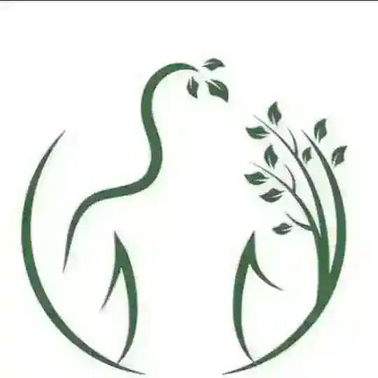 تبلیغات ماساژ تخصصی تلگرام Profile