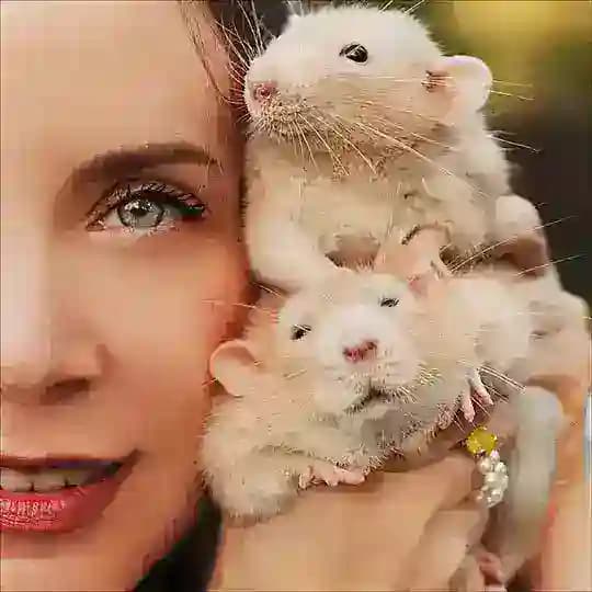 masha_littlefox