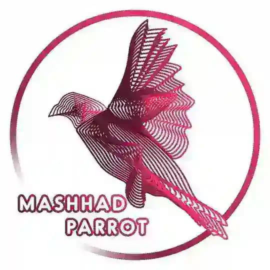 💎Mashhad_parrott💎