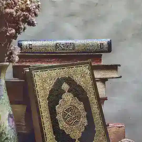 Tajvid darsligi