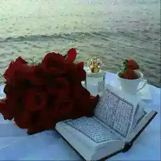 شـــفــــا💖رـــــوحــــــــي