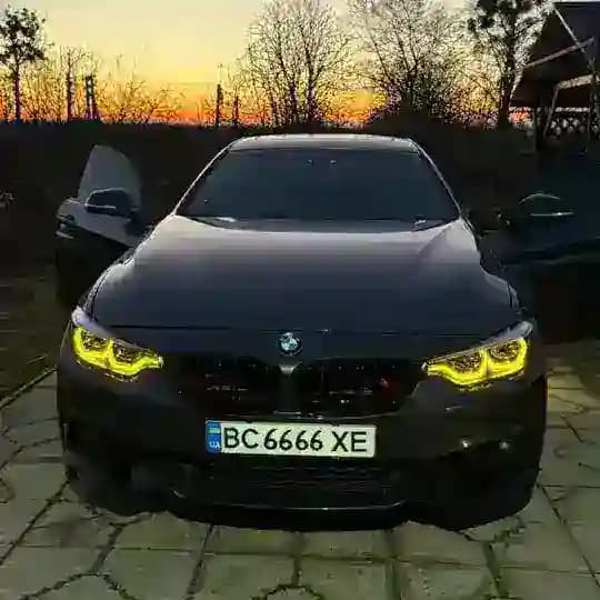 𝓓