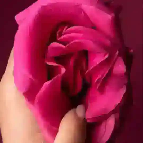 Длинные половые губы | Large labia lips