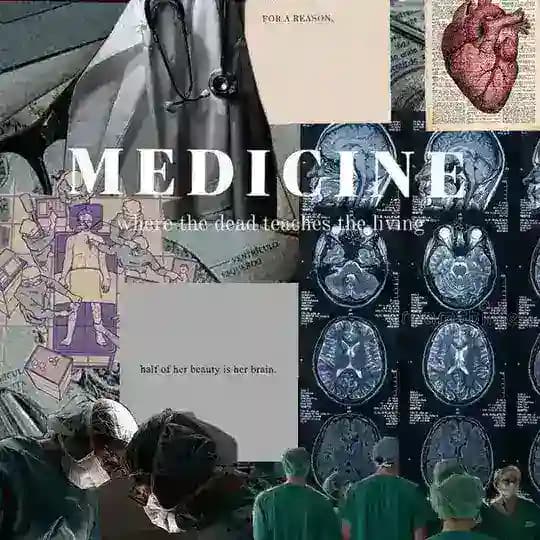 🏥 Медицина | Студент | Лікар 🇺🇦