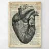 Medical knowledge