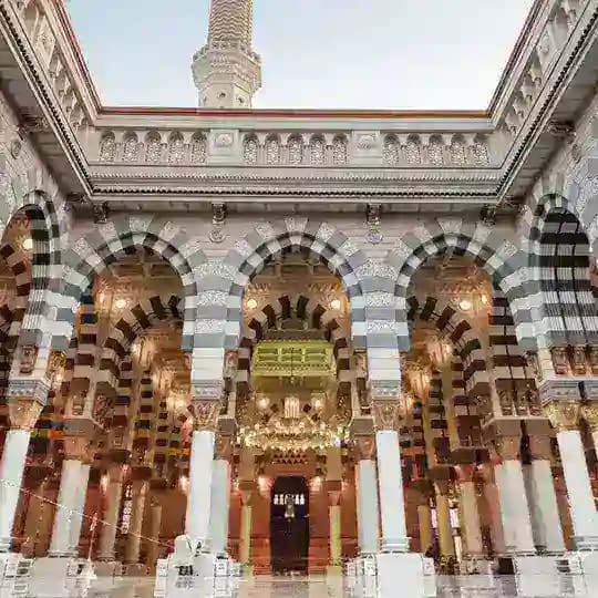 Madinah Insights: Study, Work, Life (Medina life)
