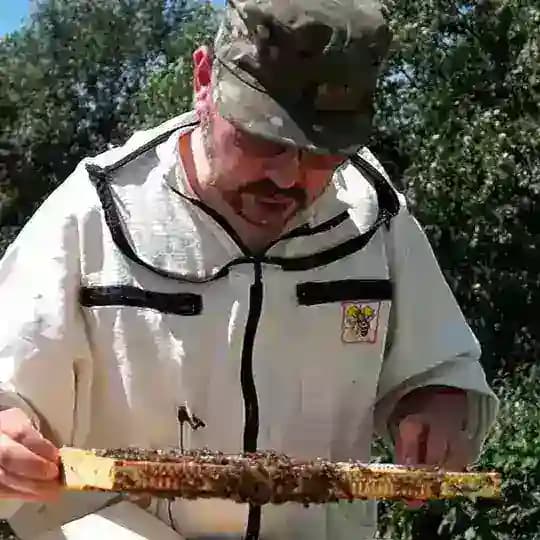 🐝 Медоведение 🐝
